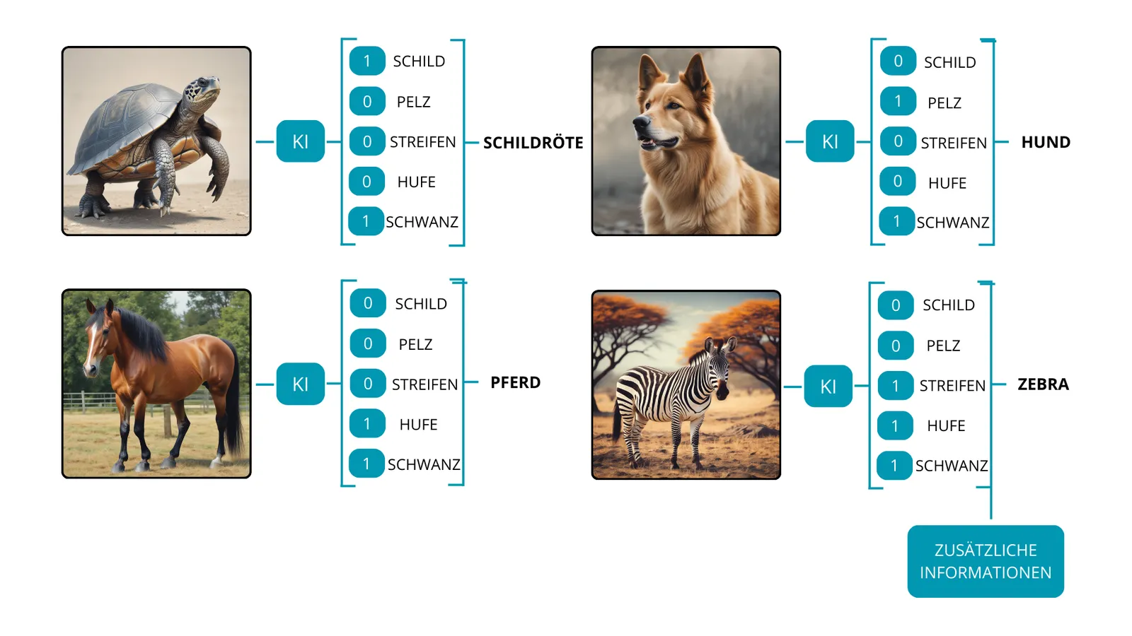 Schildkröte, Hund, Pferd und Zebra, jeweils mit Merkmalen wie Schild, Pelz, Streifen, Hufe und Schwanz; das Zebra wird über zusätzliche Informationen erkannt