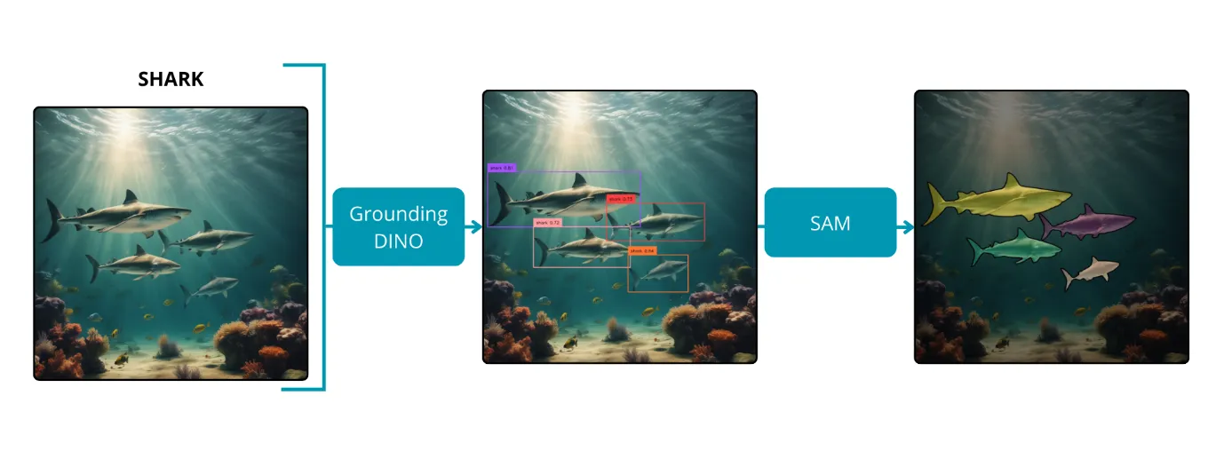 Workflow: underwater image with the search term shark, Grounding DINO finds four sharks with boxes, SAM creates coloured masks